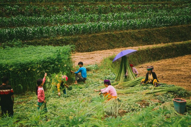 Why Visit the Ha Giang Loop? 6 Reasons to Add It to Your Vietnam Trip