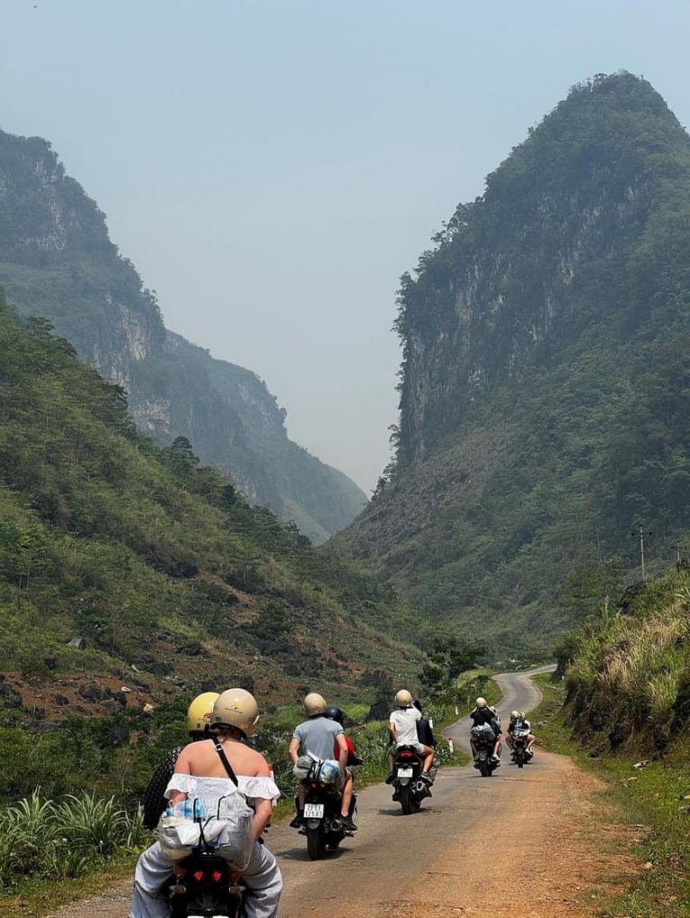 Sit Back Our Easy Rider On The Road Trip